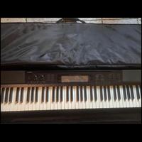 Casio pianoforte digitale CDP IN-200r