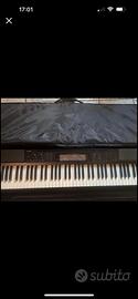 Casio pianoforte digitale CDP IN-200r