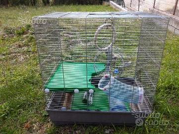 Gabbia per scoiattoli o cincillà