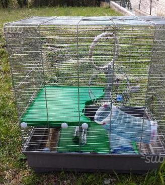 Gabbia per scoiattoli o cincillà