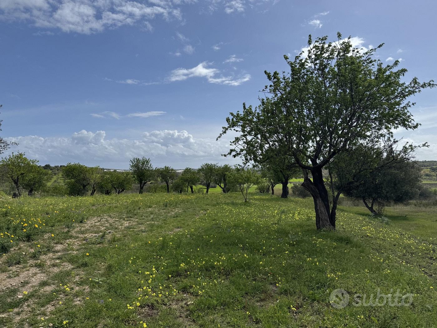 Terreno Agricolo Noto [Cod. rif 3321426VCG] - Vista 5