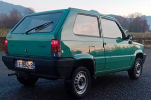 panda young 1100 