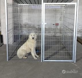 Rete e pali - tettoie - reti - box cani - box auto