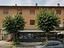Immagine 11