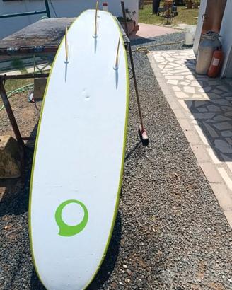 tavola da surf  tribord 6
