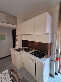 Cucina con lavello, fornello, cappa, lavastoviglie