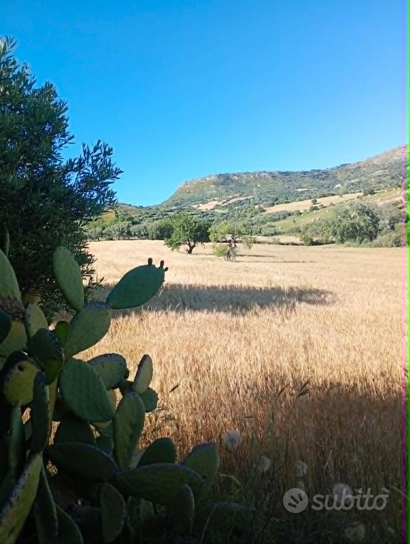 Terreno panoramico unico con casale rustico - Altro