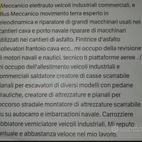 Meccanico veicoli industriali