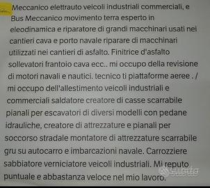 Meccanico veicoli industriali