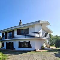 Villa bilivelli con uliveto a Pabillonis