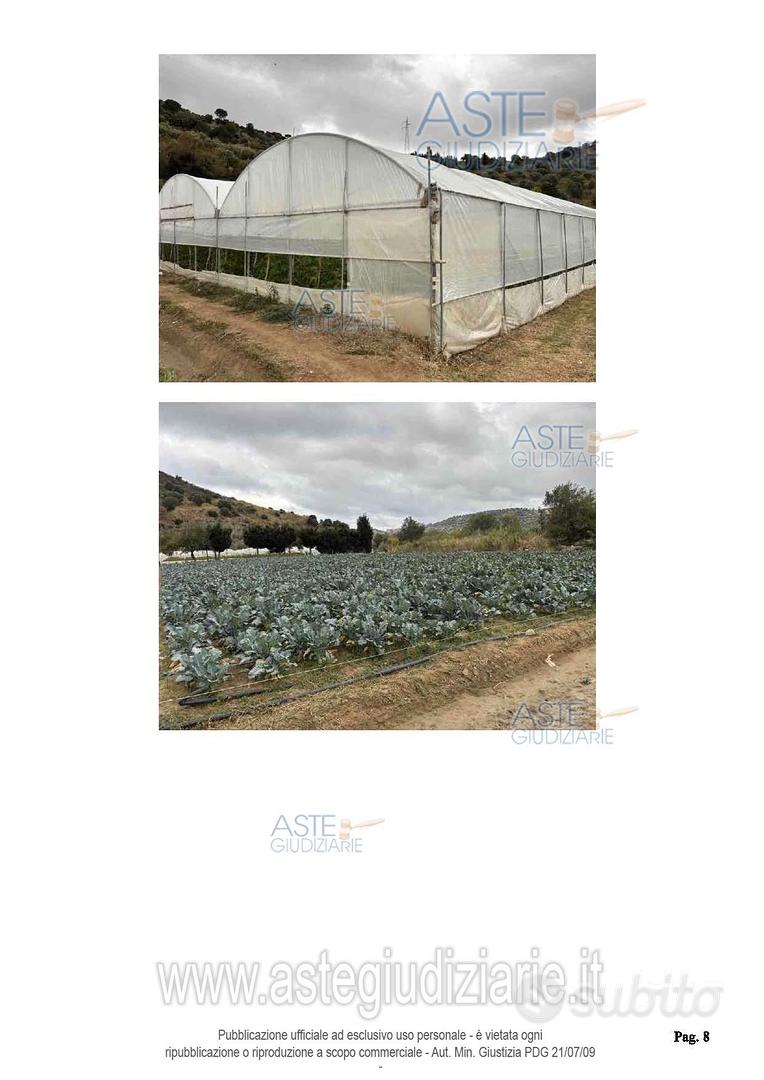 Terreno Agricolo Petrizzi [A4352968] - Altro