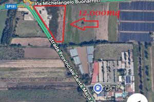 Terreno agricolo di 12.000mq