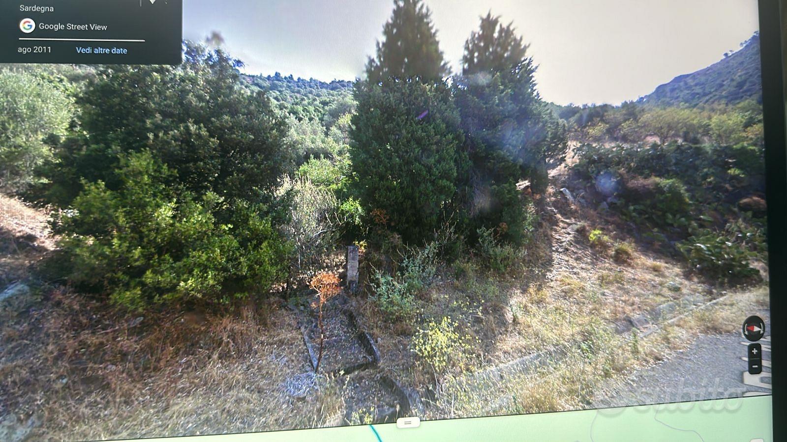 Zemljište, 3000 m²
