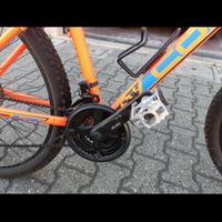 Bicicletta da ragazzo