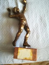 Coppa sportiva pallavolo