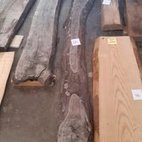 fetta di tronco per opere