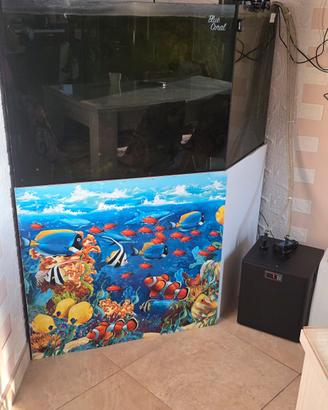 acquario completo 