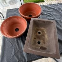 3 Vasi bonsai tokoname / gres