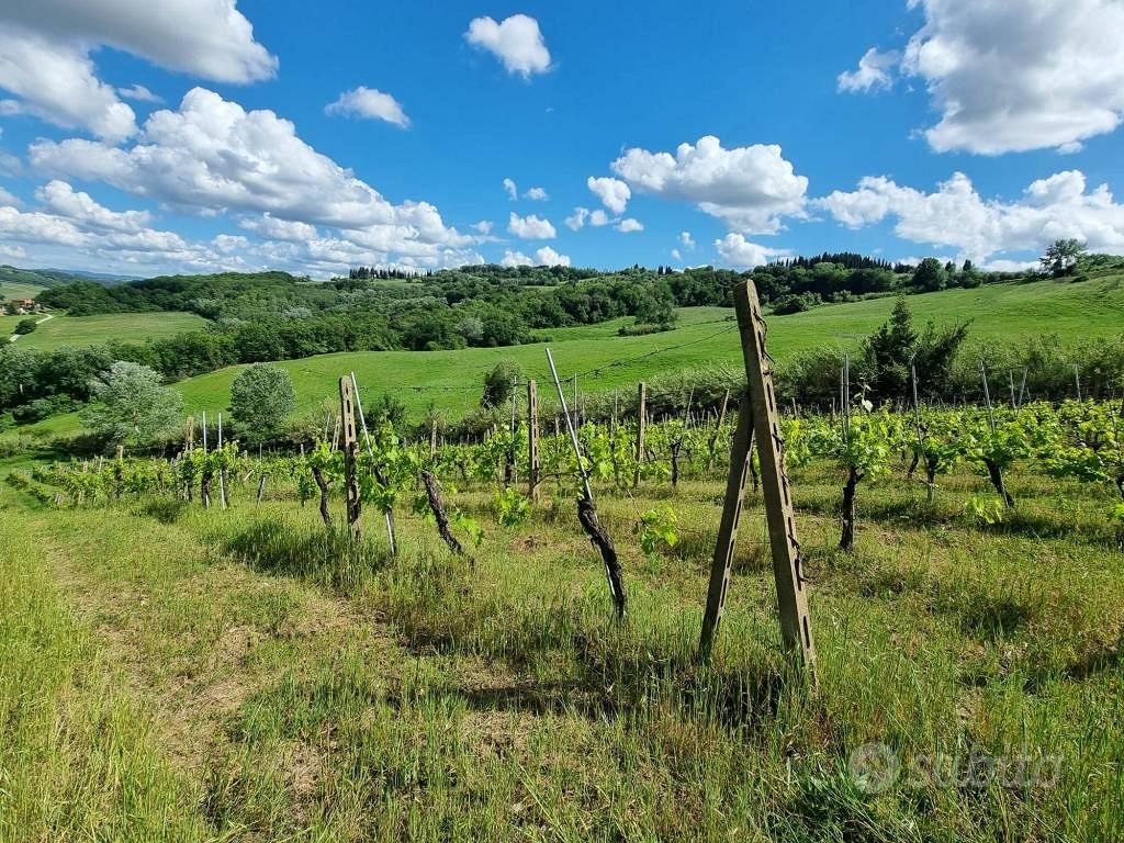 Terreno di 21090 m² a Montespertoli - Vista 2