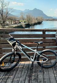 e-bike Argento Performance 
