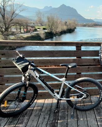 e-bike Argento Performance 