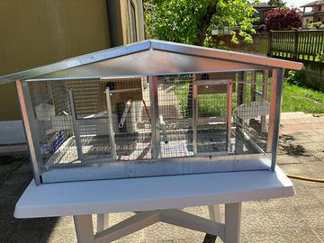 Gabbietta pappagalli