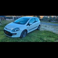 fiat punto evo