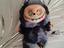 Immagine 1