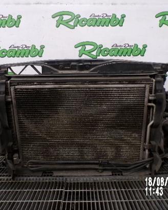RIVESTIMENTO - OSSATURA AUDI A4 B6 2.5 TDI 2003