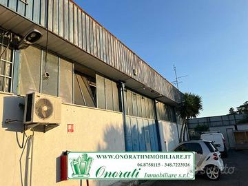 MQ 227 ROMA, TORRE ANGELA FRONTE GRA RIF.A-914
