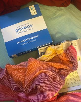Lisca sunny day didymos