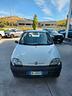 fiat-600-1-1