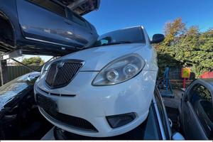 Ricambi lancia y restilyng