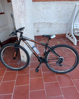 Mountain bike Legnano “29