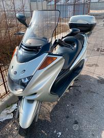 Scooter Majesty 250