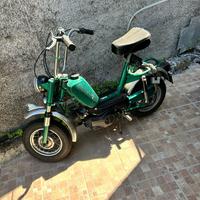 Motorino 50