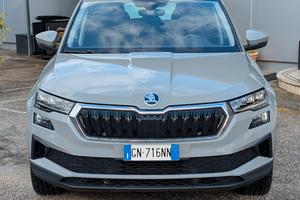 Skoda Karoq 2.0 Tdi 115Cv DSG Executive