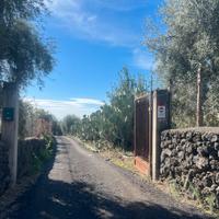 Terreno agricolo 49-378