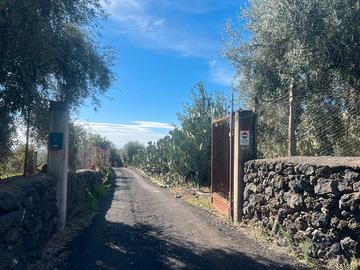 Terreno agricolo 49-378