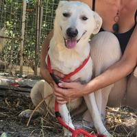 Jerry un'anima buona che chiede di essere notata