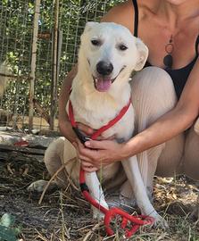 Jerry un'anima buona che chiede di essere notata