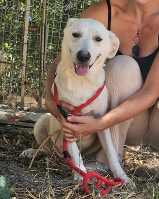 Jerry un'anima buona che chiede di essere notata