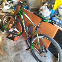 Mountain bike 