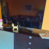 televisori 1 anno di vita