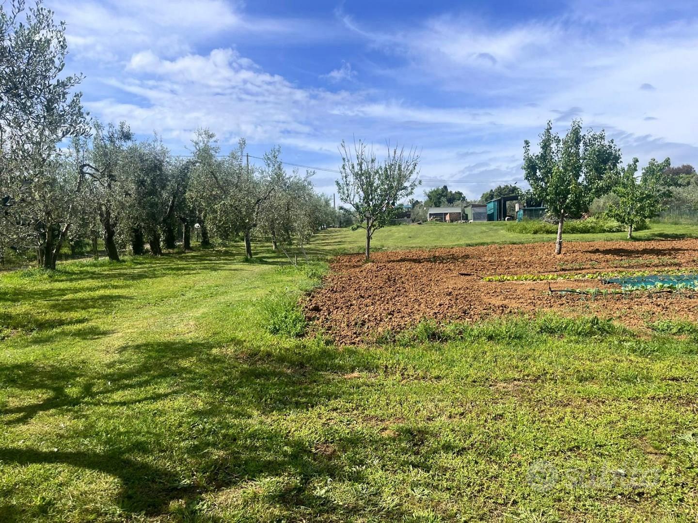 Terreno agric. a Cecina - Vista 2
