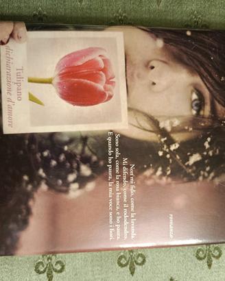 libro romanzo