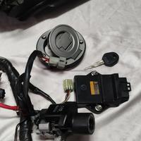 Ricambi XT660Z Teneré 2008/2016