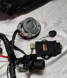 Ricambi XT660Z Teneré 2008/2016