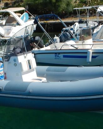SACS 5.70 ORCA 866 NUOVI 06/2026 • EVINRUDE E-TEC