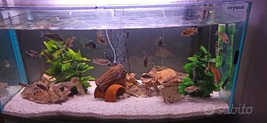 Acquario completo